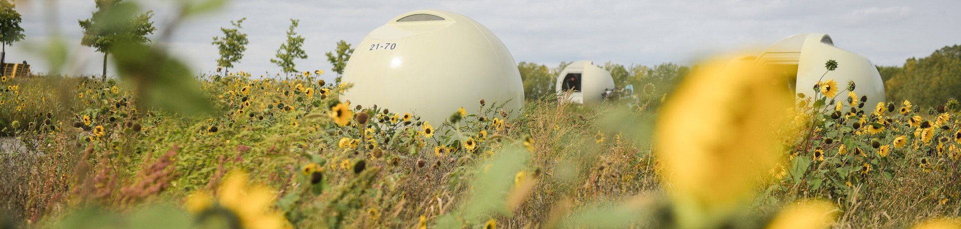 Parc Frederic Back 2020 Chantal Levesque 5