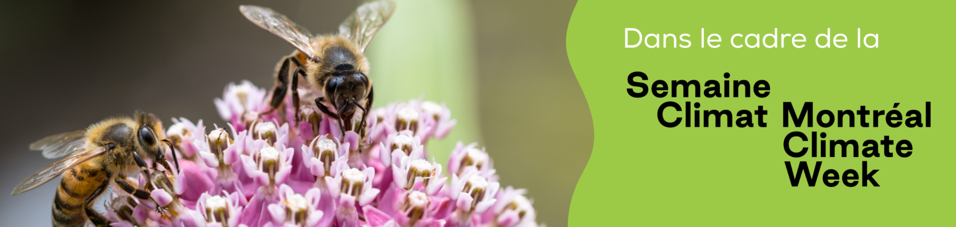 Sentier des pollinisateurs Bandeau site web 3