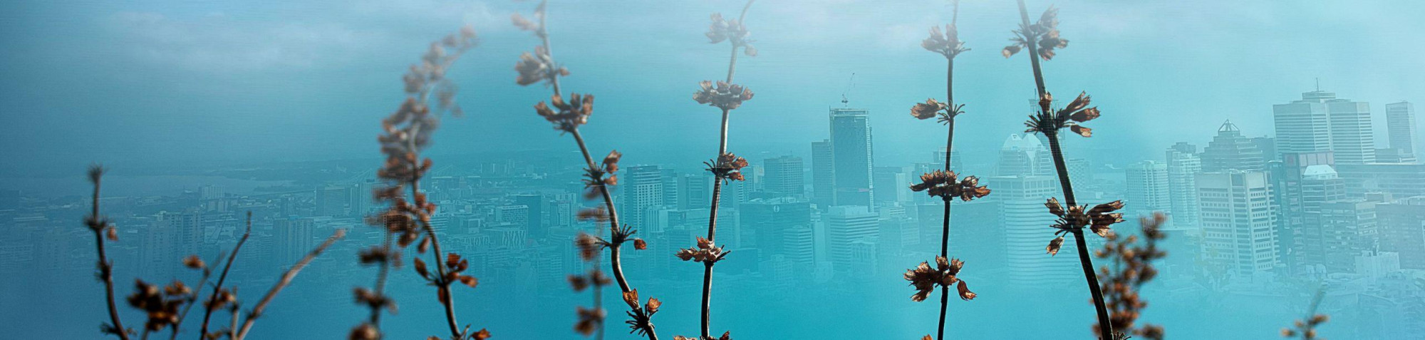 Terre avenir exposition TOHU