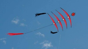 Cerf-volant