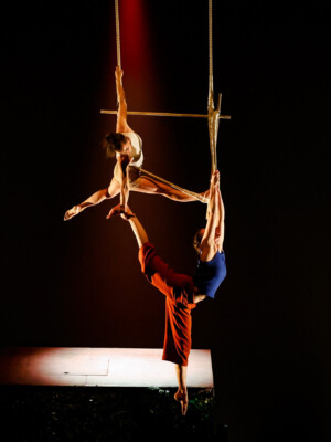 JFSAVARI Ax Kintsugi MDC Tohu 16 1