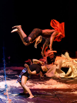 JFSAVARI Ax WO Wx Kalabantex Tohu 18