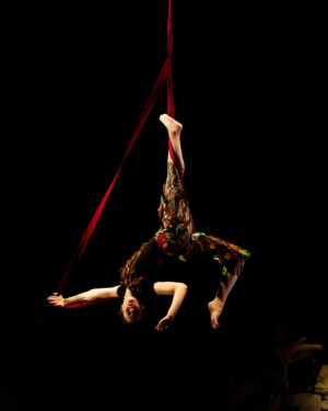 JFSAVARI Ax WO Wx Kalabantex Tohu 33