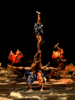 JFSAVARI Ax WO Wx Kalabantex Tohu 50