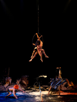 JFSAVARI Ax WO Wx Kalabantex Tohu 8