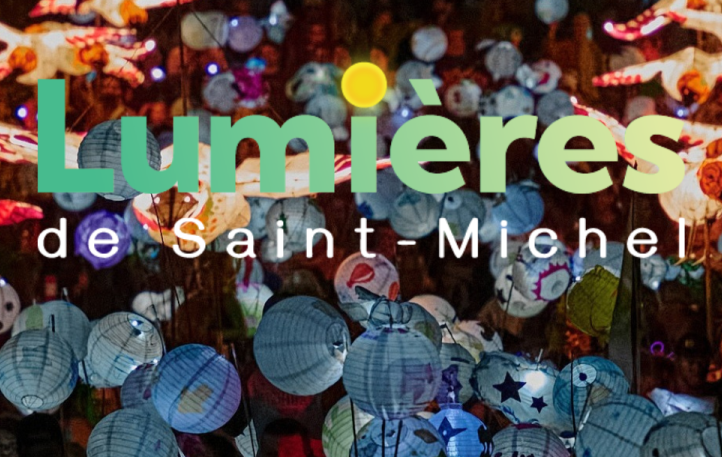 LSM Banniere Site Web 2