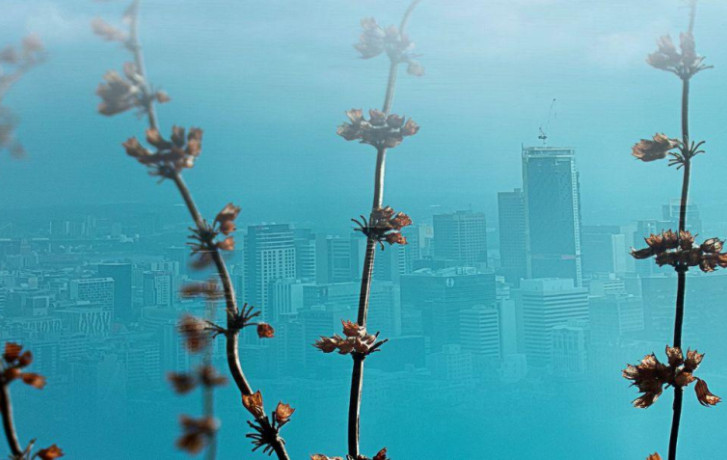 Terre avenir exposition TOHU