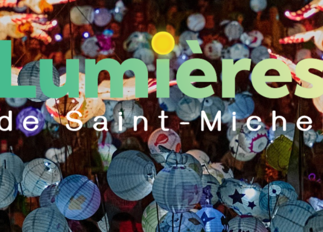 LSM Banniere Site Web 2