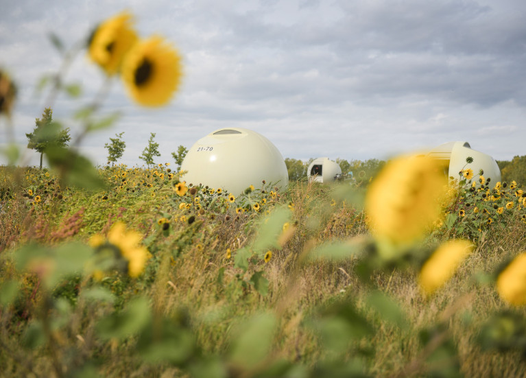 Parc Frederic Back 2020 Chantal Levesque 5