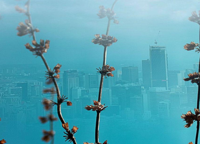 Terre avenir exposition TOHU