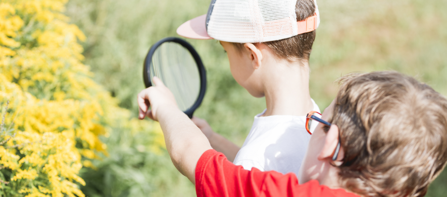 Explorateurs en herbe observation dinsectes au parc