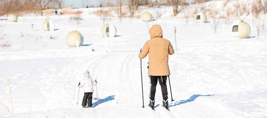 Sans titre 903 x 399 px 11